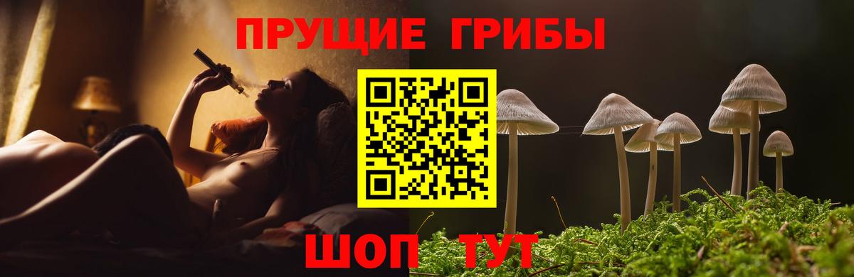 Галлюциногенные грибы Cubensis  Вход с VPN  Псилоцибиновые грибы прущие грибы  Подольск 